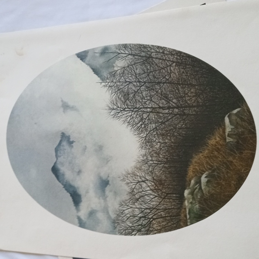 Terri Waters Print